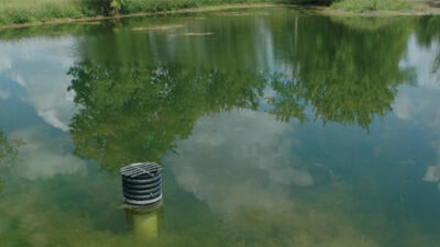 Fish Pond Fertilization Explained