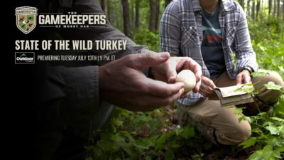 State of The Wild Turkey | The GameKeepers of Mossy Oak