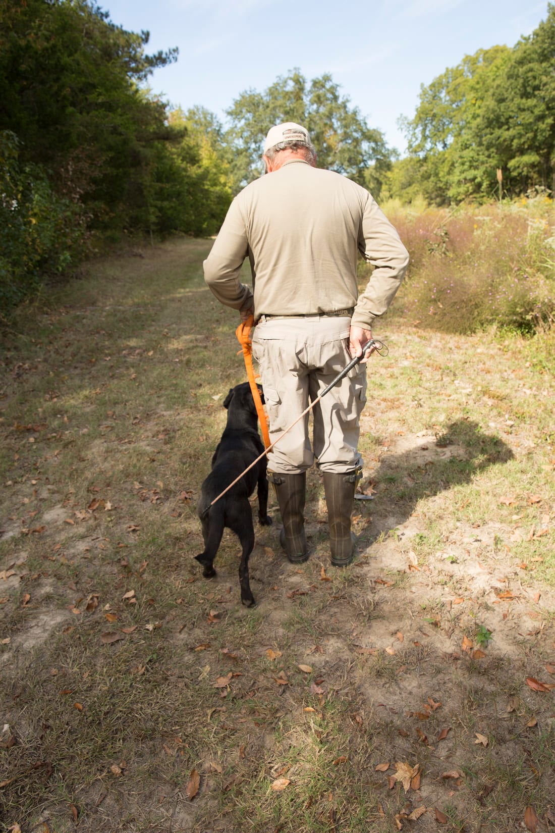 Gundog Training The Heeling Stick Mossy Oak Gamekeeper