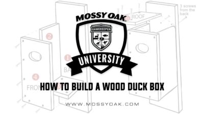 How to build a wood duck box