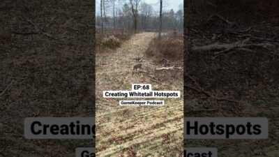 New episode! Creating Whitetail Hotspots