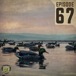 EP:67 | Decoy Strategies: What Are Ducks Looking For?