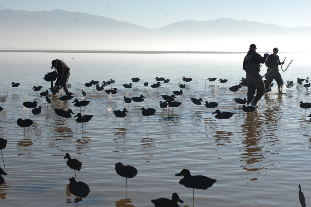 setting-up-a-decoy-spread