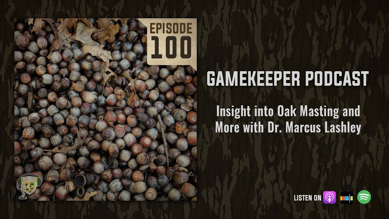 EP100 Insight into Oak Masting and More with Dr. Marcus Lashley Mossy Oak Gamekeeper