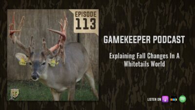 EP:113 | Explaining Fall Changes in a Whitetails World