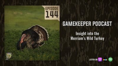 EP:144 | Insight into the Merriam’s Wild Turkey
