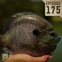 EP:175 | Giant Bluegill and the Slab Lab