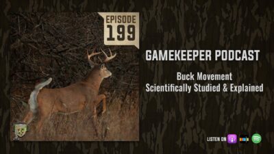 EP:199 | Buck Movement Scientifically Studied and Explained