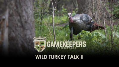 Wild Turkey Talk II