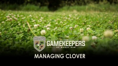 Managing Clover