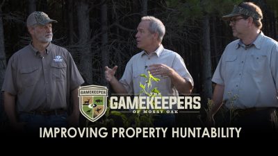 Improving Property Huntability