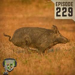 EP:229 | The Wild Hog Dilemma with Dr. Steve Ditchkoff