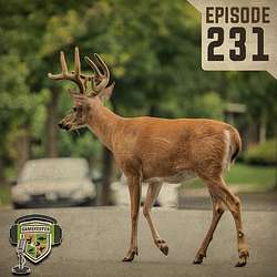 EP:231 | A Journey Towards Understanding Hunting