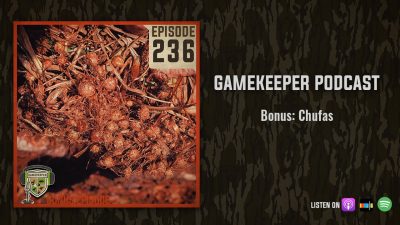 EP:236 | Bonus: Chufas