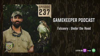 EP:237 | Falconry : Under the Hood
