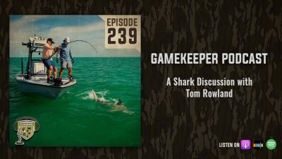 EP:239 | A Shark Discussion with Tom Rowland