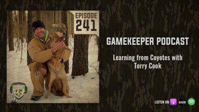 EP:241 | Learning from Coyotes with Torry Cook