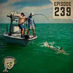 EP:239 | A Shark Discussion with Tom Rowland
