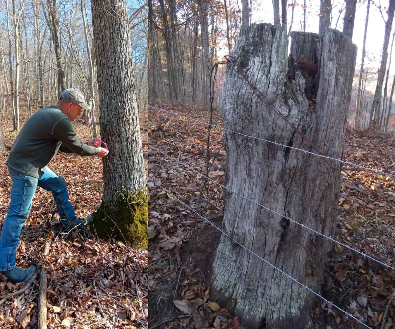 developing-a-property-management-plan-mossy-oak-gamekeeper
