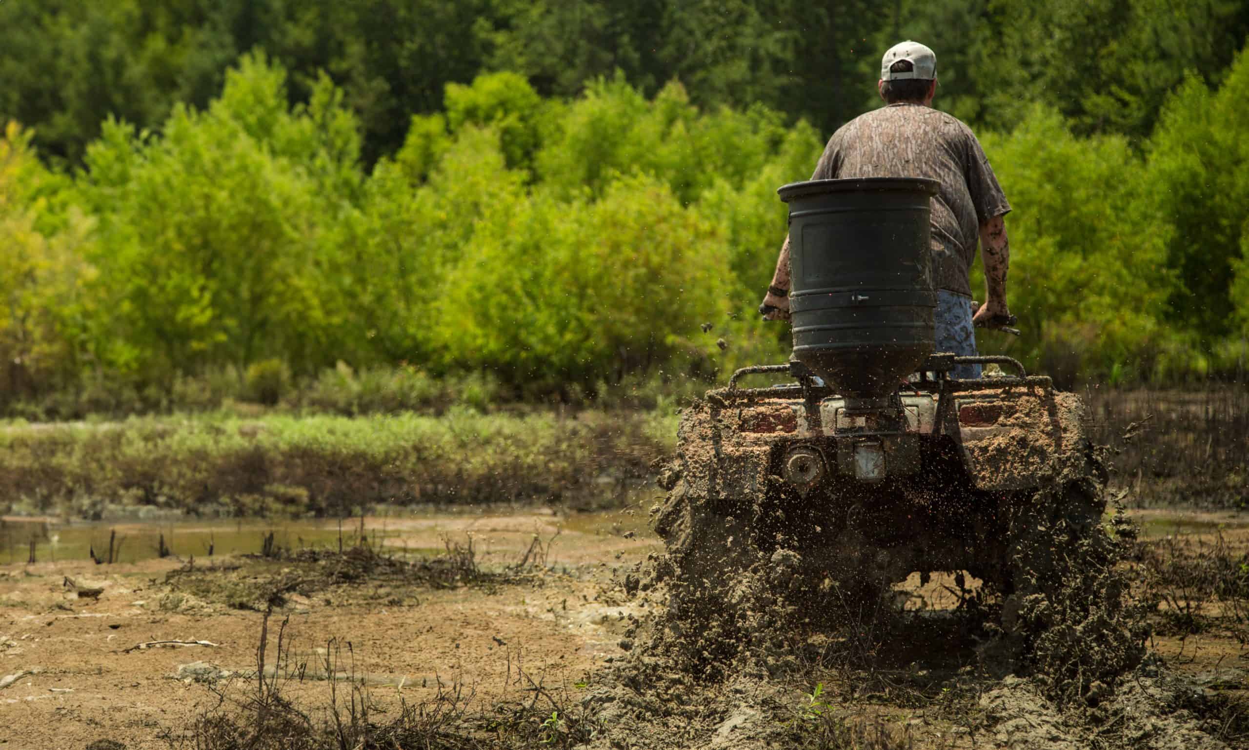 Planting Guide's Choice For Ducks | Mossy Oak Gamekeeper