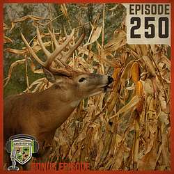 EP:250 | Growing Corn for Wildlife